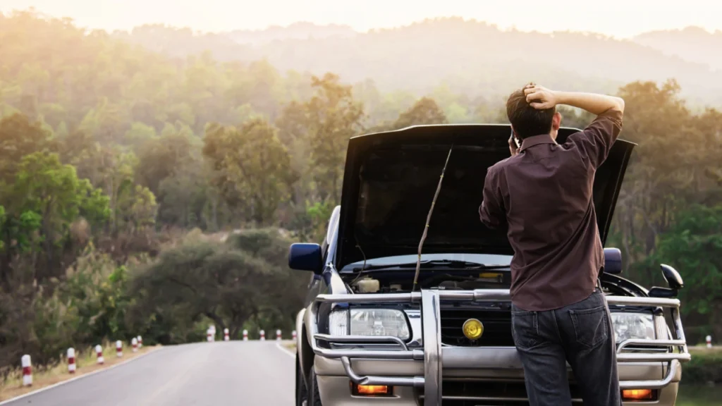 sustentabilidade financeira
